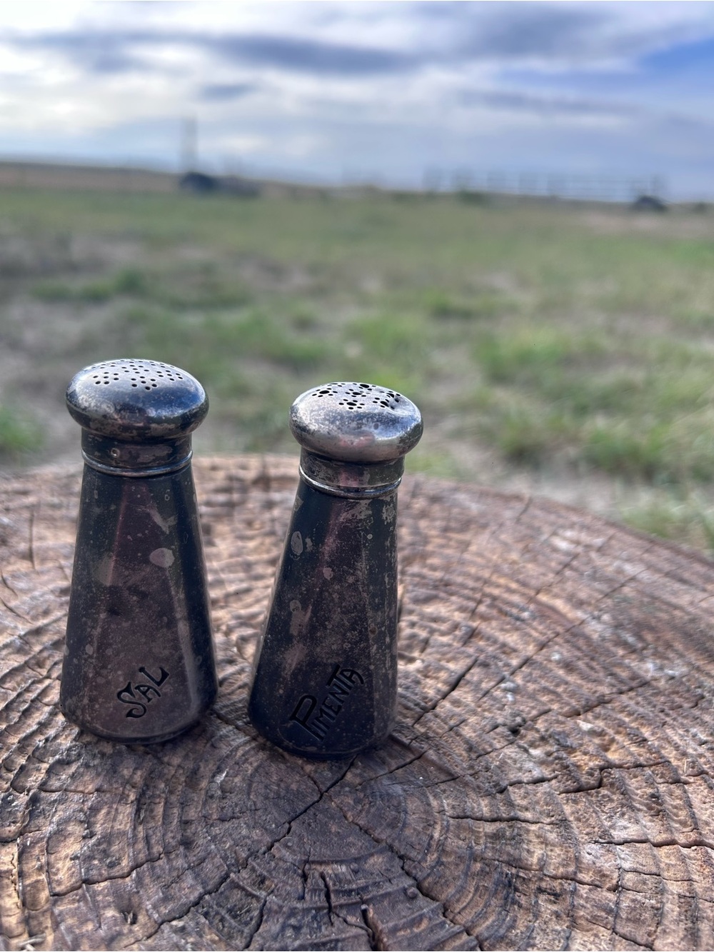 Portuguese Silver Matte Finish Salt Pepper Shakers Set Gilt Interior 1950